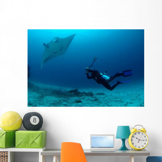 Photographer Taking Picture Manta Wall Decal