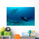 Photographer Taking Picture Manta Wall Decal