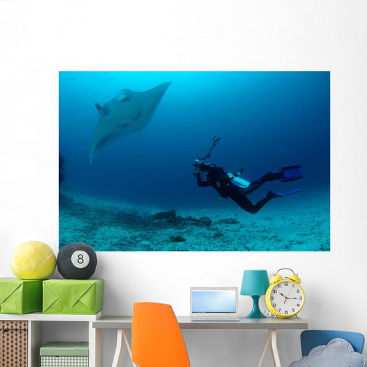 Photographer Taking Picture Manta Wall Decal