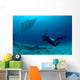 Photographer Taking Picture Manta Wall Decal