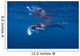 Juvenile Manta Ray Feeding Wall Decal Design 3