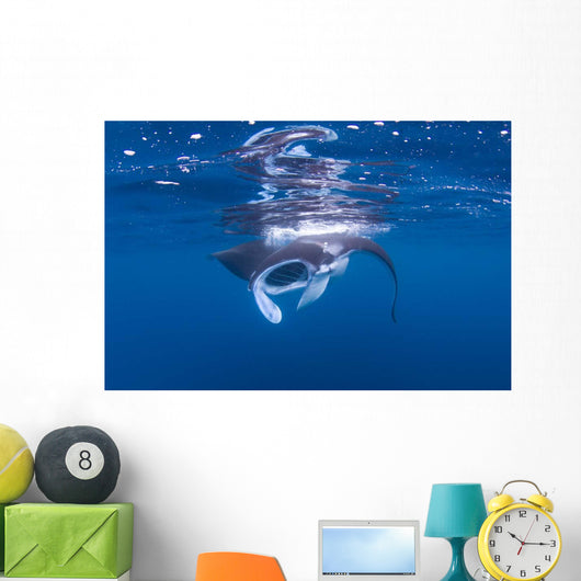 Juvenile Manta Ray Feeding Wall Decal Design 2