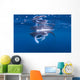 Juvenile Manta Ray Feeding Wall Decal Design 2