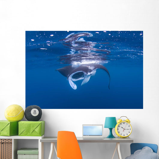 Juvenile Manta Ray Feeding Wall Decal Design 2
