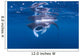 Juvenile Manta Ray Feeding Wall Decal Design 2
