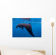 Juvenile Manta Ray Feeding Wall Decal Design 1