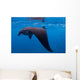 Juvenile Manta Ray Feeding Wall Decal Design 1