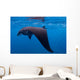 Juvenile Manta Ray Feeding Wall Decal Design 1