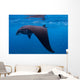 Juvenile Manta Ray Feeding Wall Decal Design 1