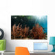 Sea Fan Grows under Wall Decal Design 2