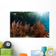 Sea Fan Grows under Wall Decal Design 2