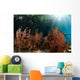 Sea Fan Grows under Wall Decal Design 2