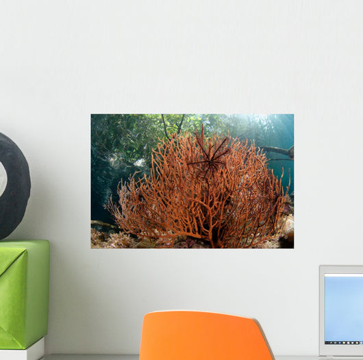 Sea Fan Grows under Wall Decal Design 1