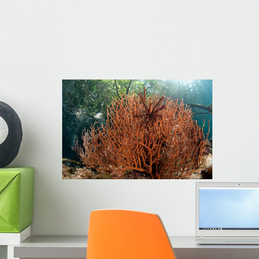 Sea Fan Grows under Wall Decal Design 1