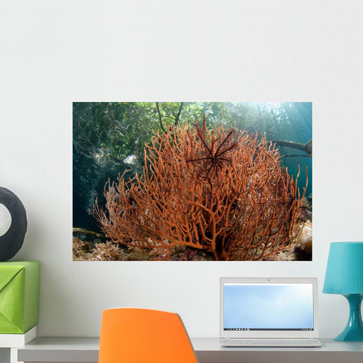 Sea Fan Grows under Wall Decal Design 1