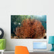 Sea Fan Grows under Wall Decal Design 1