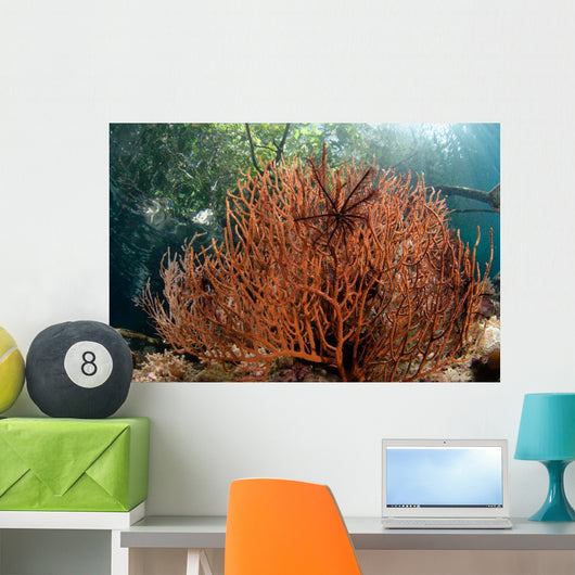 Sea Fan Grows under Wall Decal Design 1
