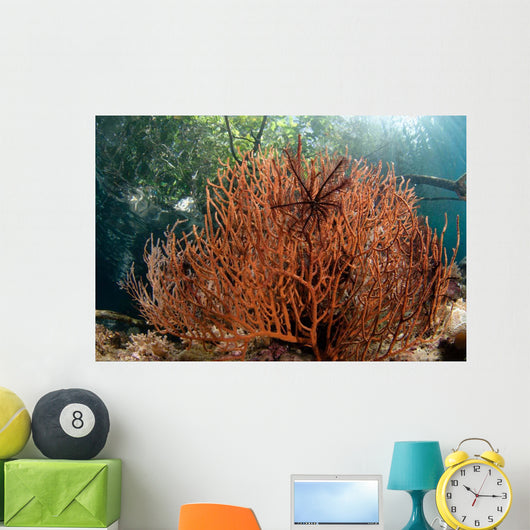Sea Fan Grows under Wall Decal Design 1