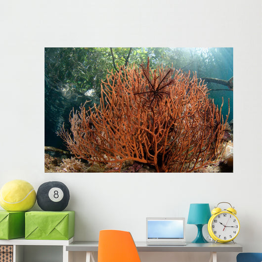 Sea Fan Grows under Wall Decal Design 1
