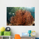 Sea Fan Grows under Wall Decal Design 1