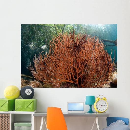 Sea Fan Grows under Wall Decal Design 1