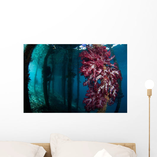 Soft Coral Growing Pilings Wall Decal Design 3