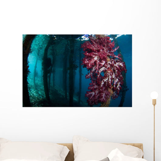 Soft Coral Growing Pilings Wall Decal Design 3