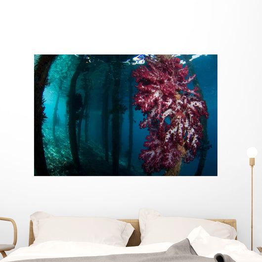 Soft Coral Growing Pilings Wall Decal Design 3