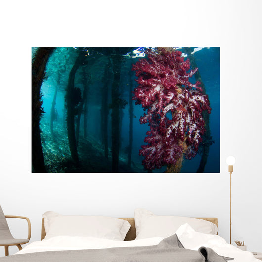 Soft Coral Growing Pilings Wall Decal Design 3
