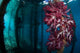 Soft Coral Growing Pilings Wall Decal Design 3