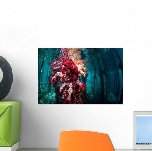 Soft Coral Growing Pilings Wall Decal Design 2