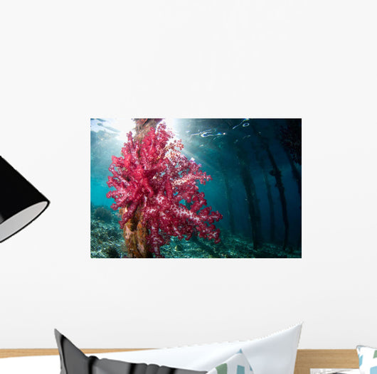 Soft Coral Growing Pilings Wall Decal Design 1