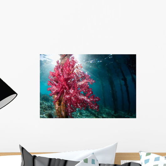 Soft Coral Growing Pilings Wall Decal Design 1