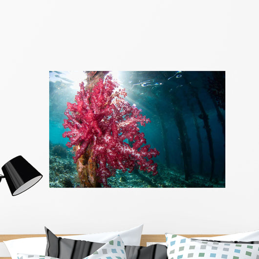 Soft Coral Growing Pilings Wall Decal Design 1