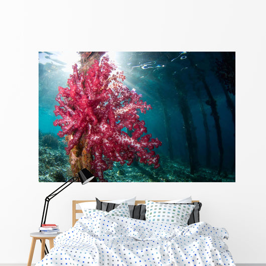 Soft Coral Growing Pilings Wall Decal Design 1