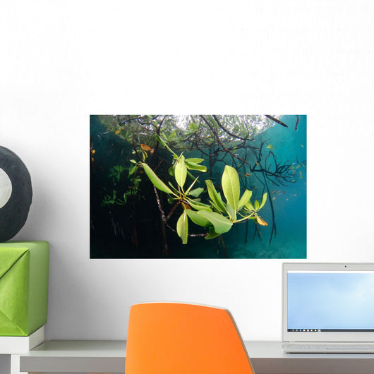 Mangrove Leaves Growing below Wall Decal