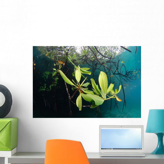 Mangrove Leaves Growing below Wall Decal