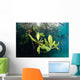 Mangrove Leaves Growing below Wall Decal