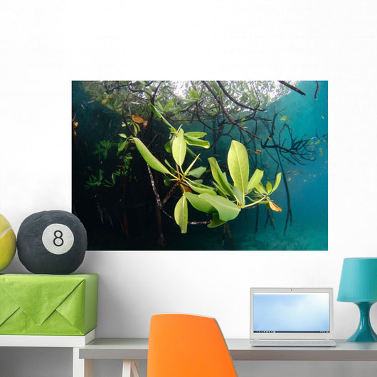 Mangrove Leaves Growing below Wall Decal