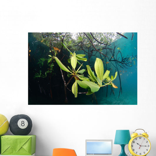 Mangrove Leaves Growing below Wall Decal