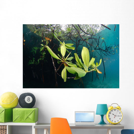 Mangrove Leaves Growing below Wall Decal