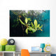 Mangrove Leaves Growing below Wall Decal