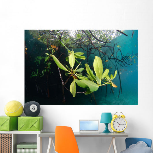 Mangrove Leaves Growing below Wall Decal