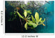 Mangrove Leaves Growing below Wall Decal