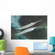 Estuarine Halfbeak Reflecting Water Wall Decal