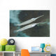 Estuarine Halfbeak Reflecting Water Wall Decal