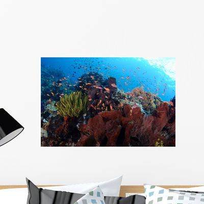 Anthias Fish Hover over Wall Decal Design 2 shown on a wall