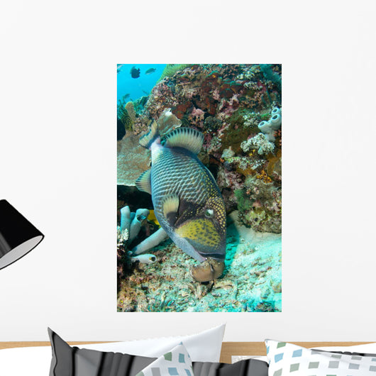 Titan Triggerfish Feeding Komodo Wall Decal