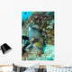 Titan Triggerfish Feeding Komodo Wall Decal