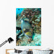 Titan Triggerfish Feeding Komodo Wall Decal